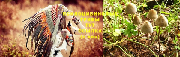 гидропоника Абдулино