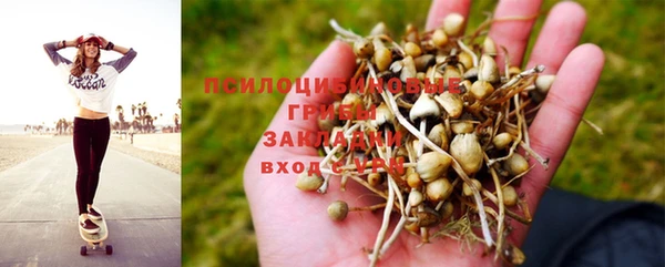 гидропоника Абдулино