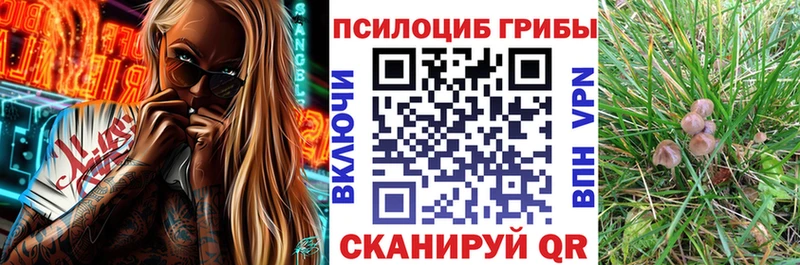 Псилоцибиновые грибы Psilocybine cubensis  ОМГ ОМГ зеркало  Полтавская  купить наркоту 
